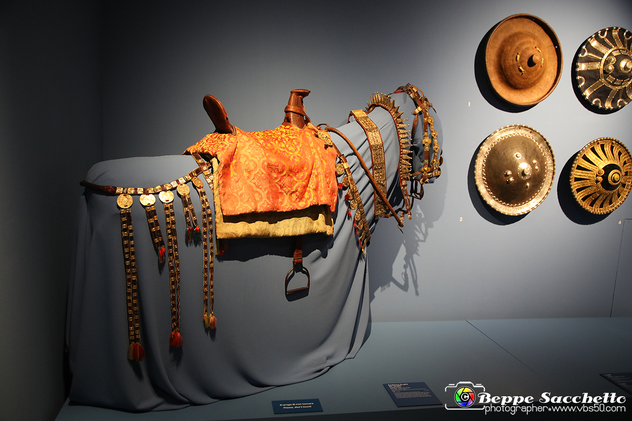 VBS_5594 - Africa - Le collezioni dimenticate.jpg